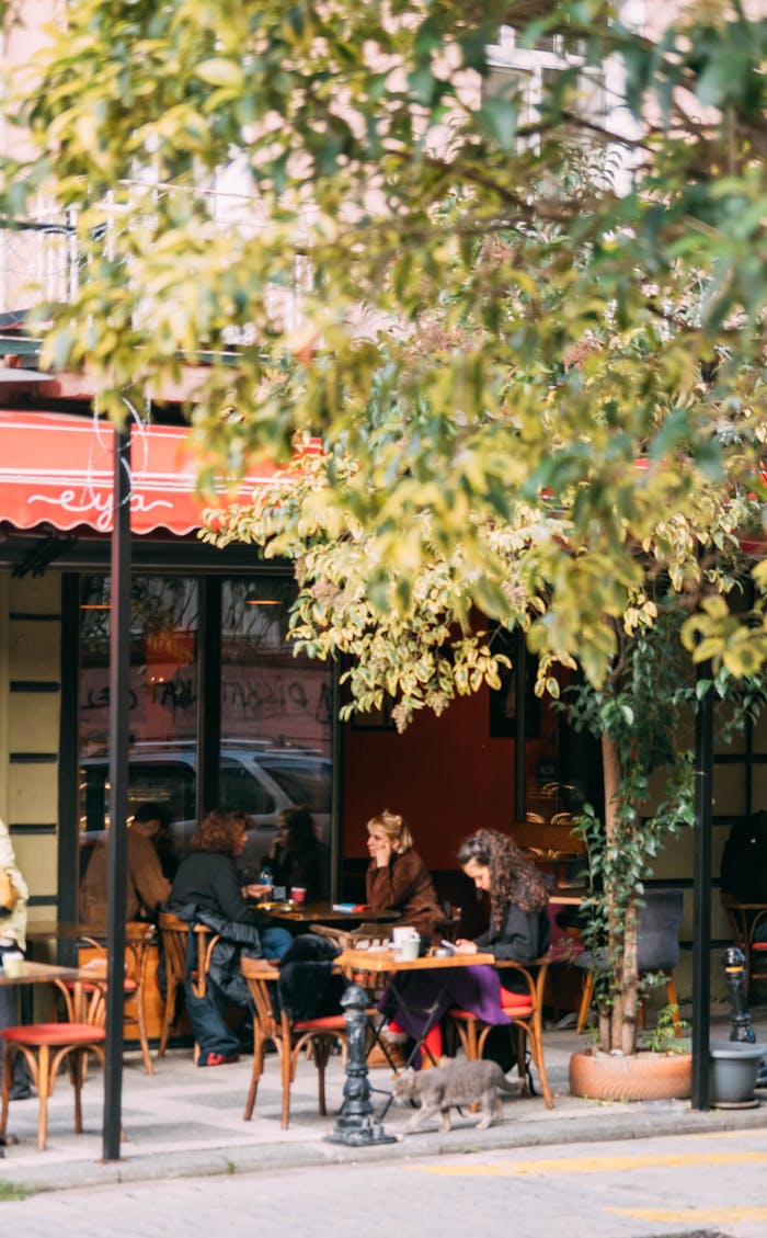 Charming urban cafe scene with people enjoying leisure time outdoors under trees.